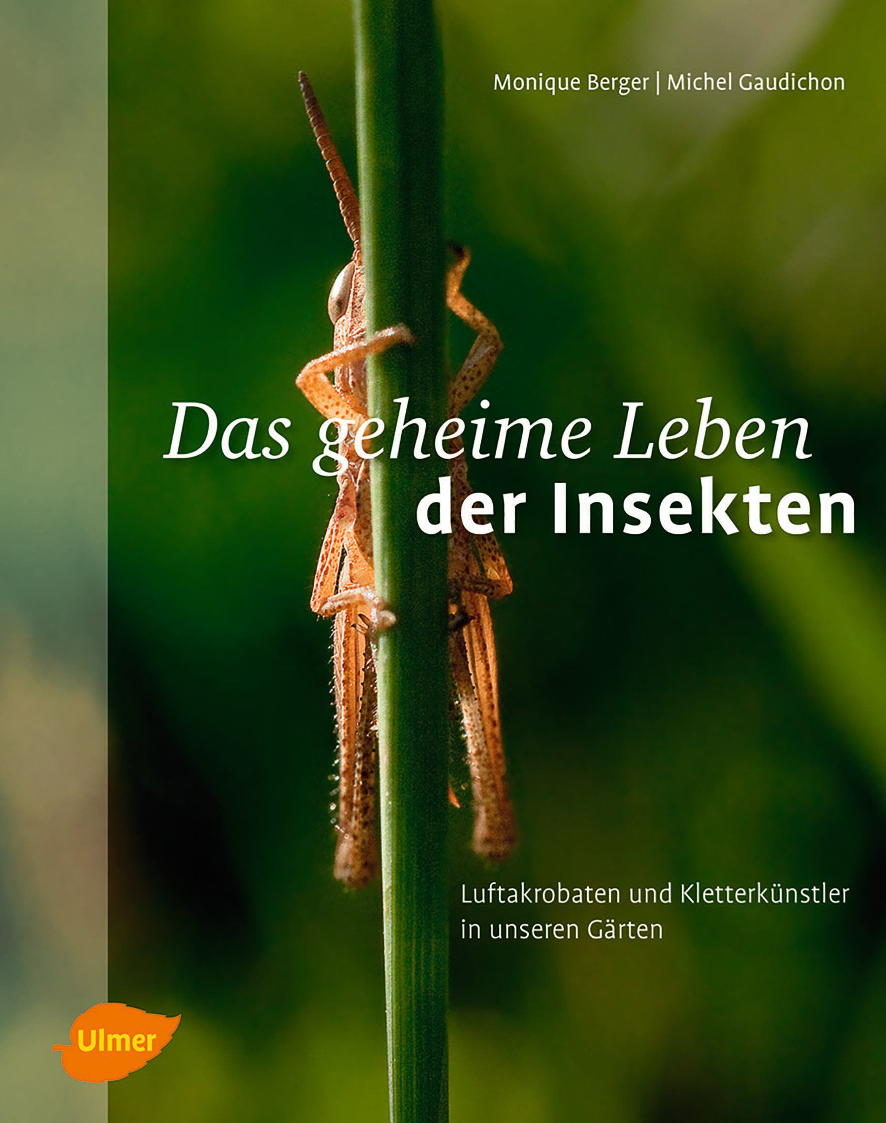 Buchkritik Zu Das Geheime Leben Der Insekten Spektrum Der Wissenschaft