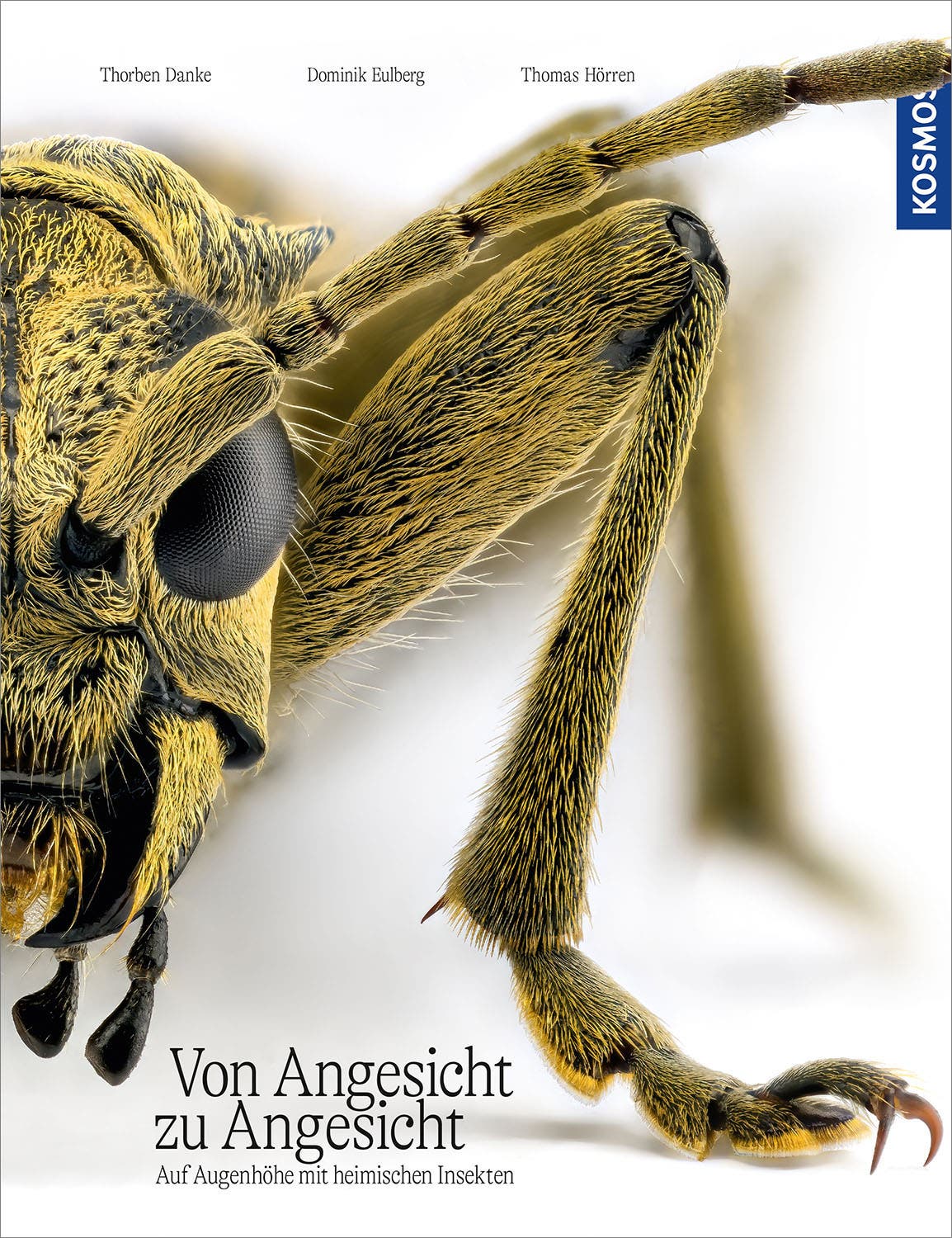 Die-faszinierende-Welt-unserer-Insekten