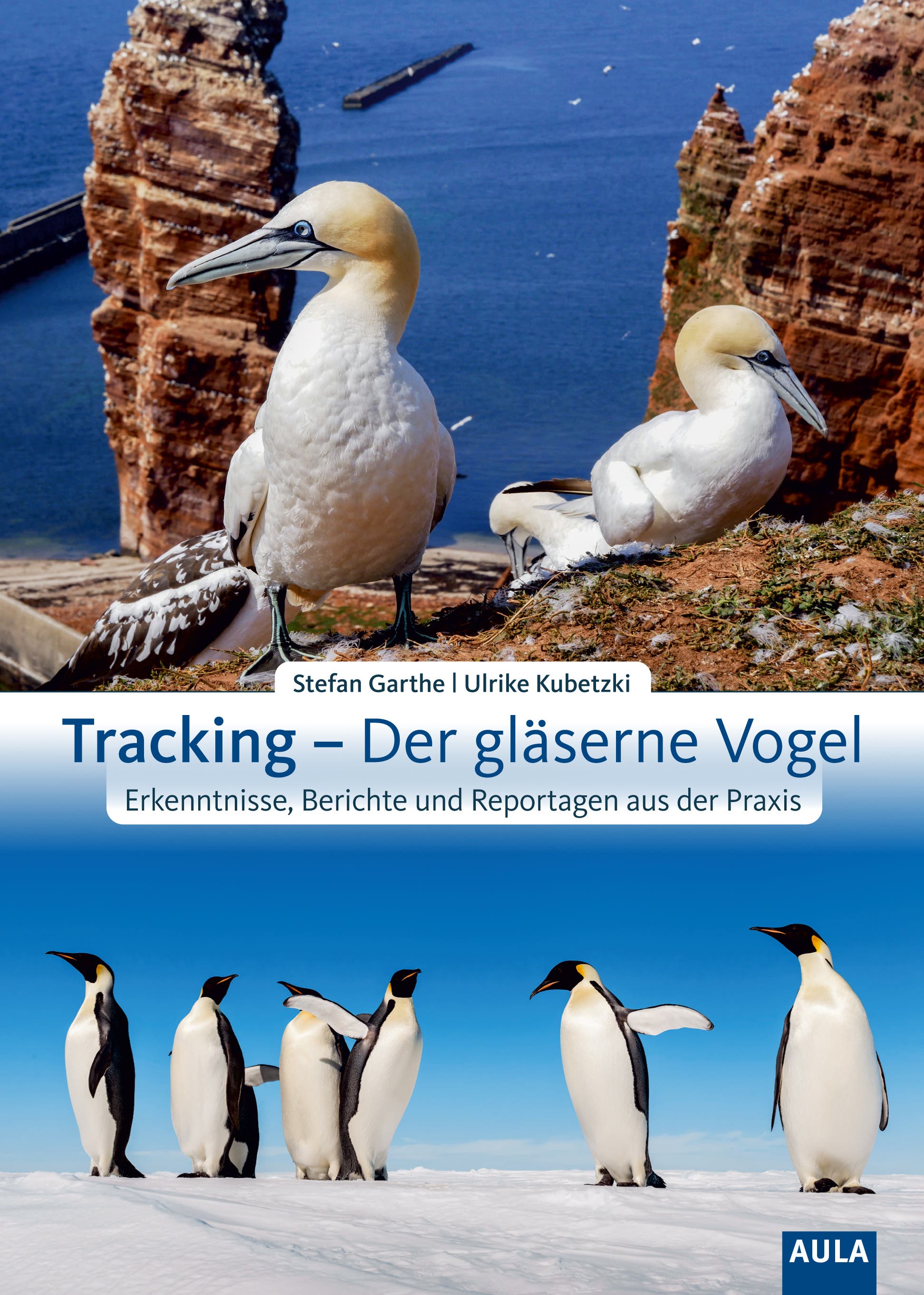 Review of the book “Tracking – The Glass Bird”