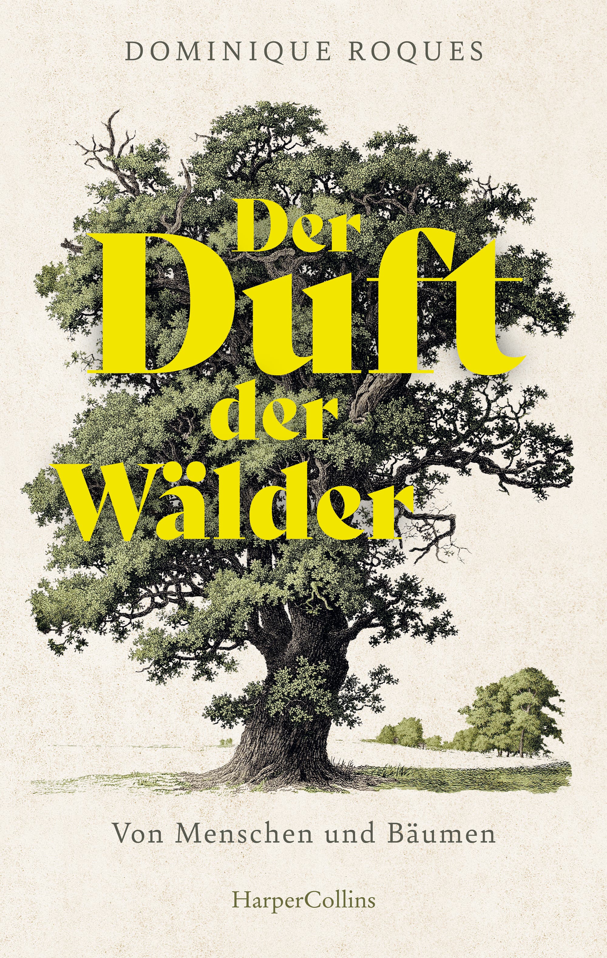 Ein-Wald-ist-mehr-als-die-Summe-seiner-B-ume