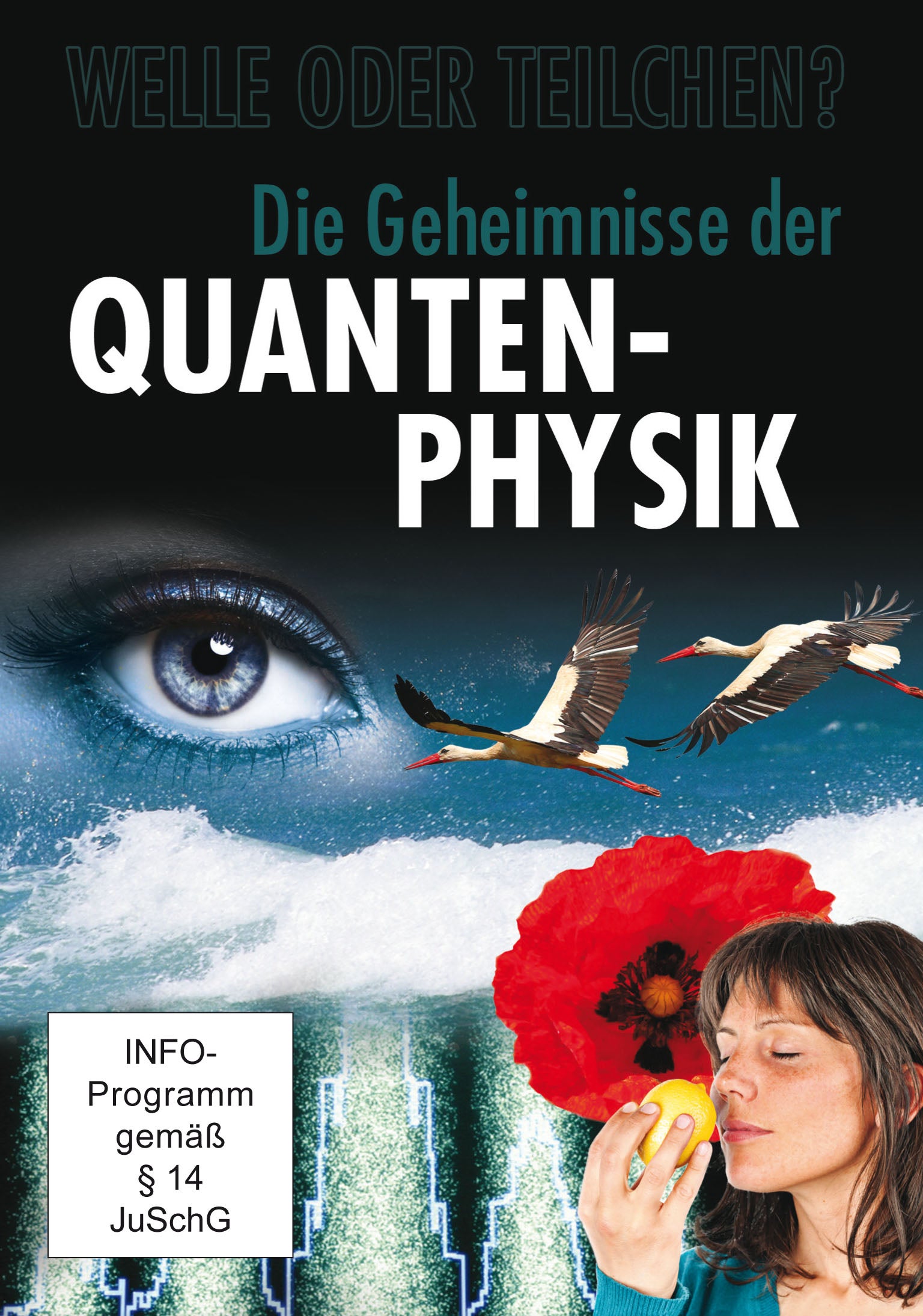 Die Geheimnisse der Quanten-Physik [DVD]