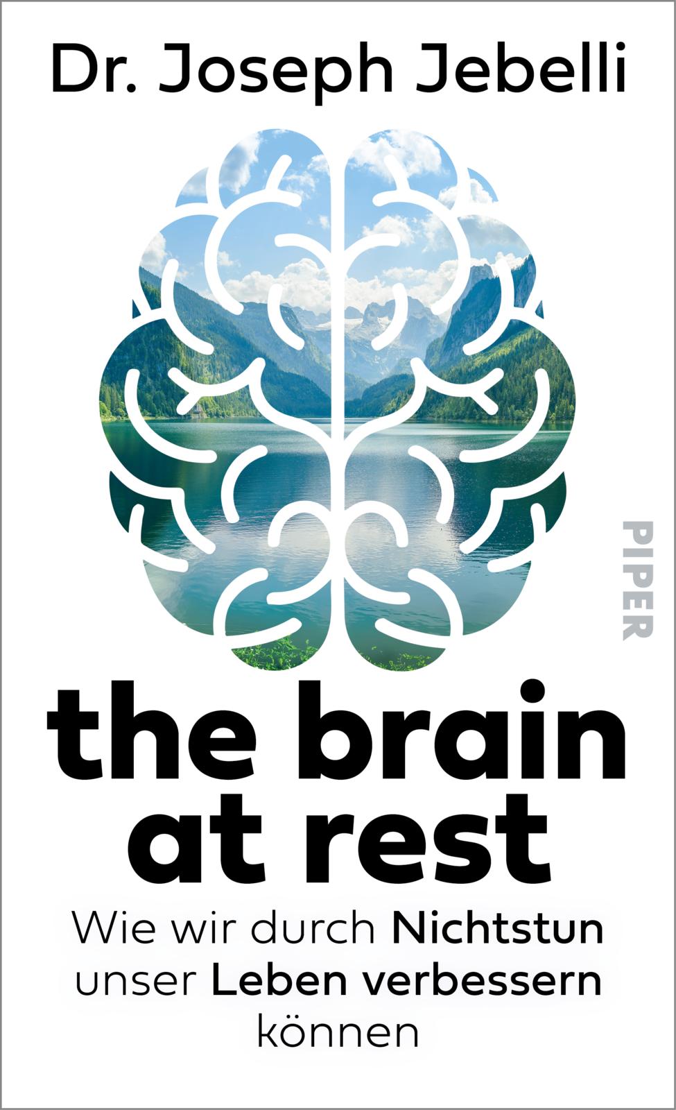 The brain at rest