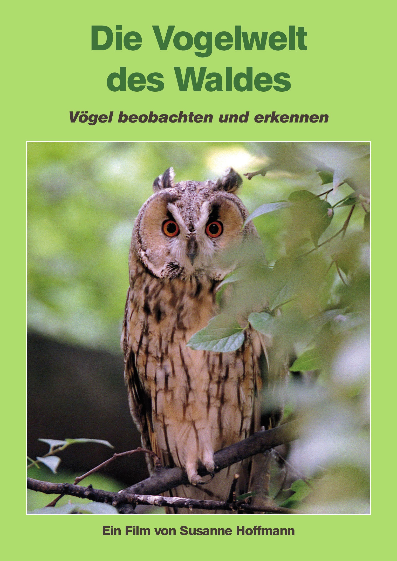 Die Vogelwelt des Waldes, 1 DVD-Video  