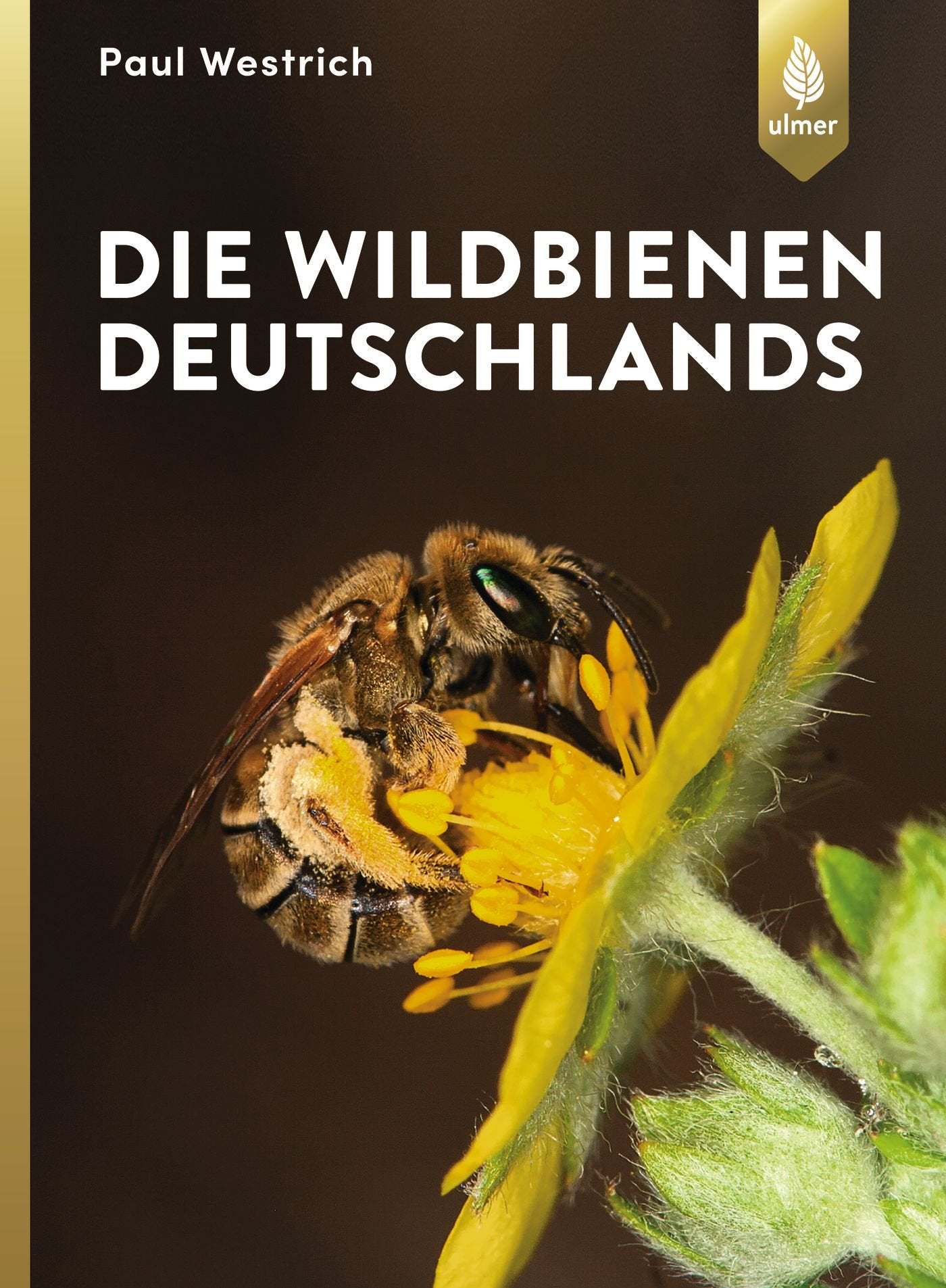 Die Wildbienen Deutschlands