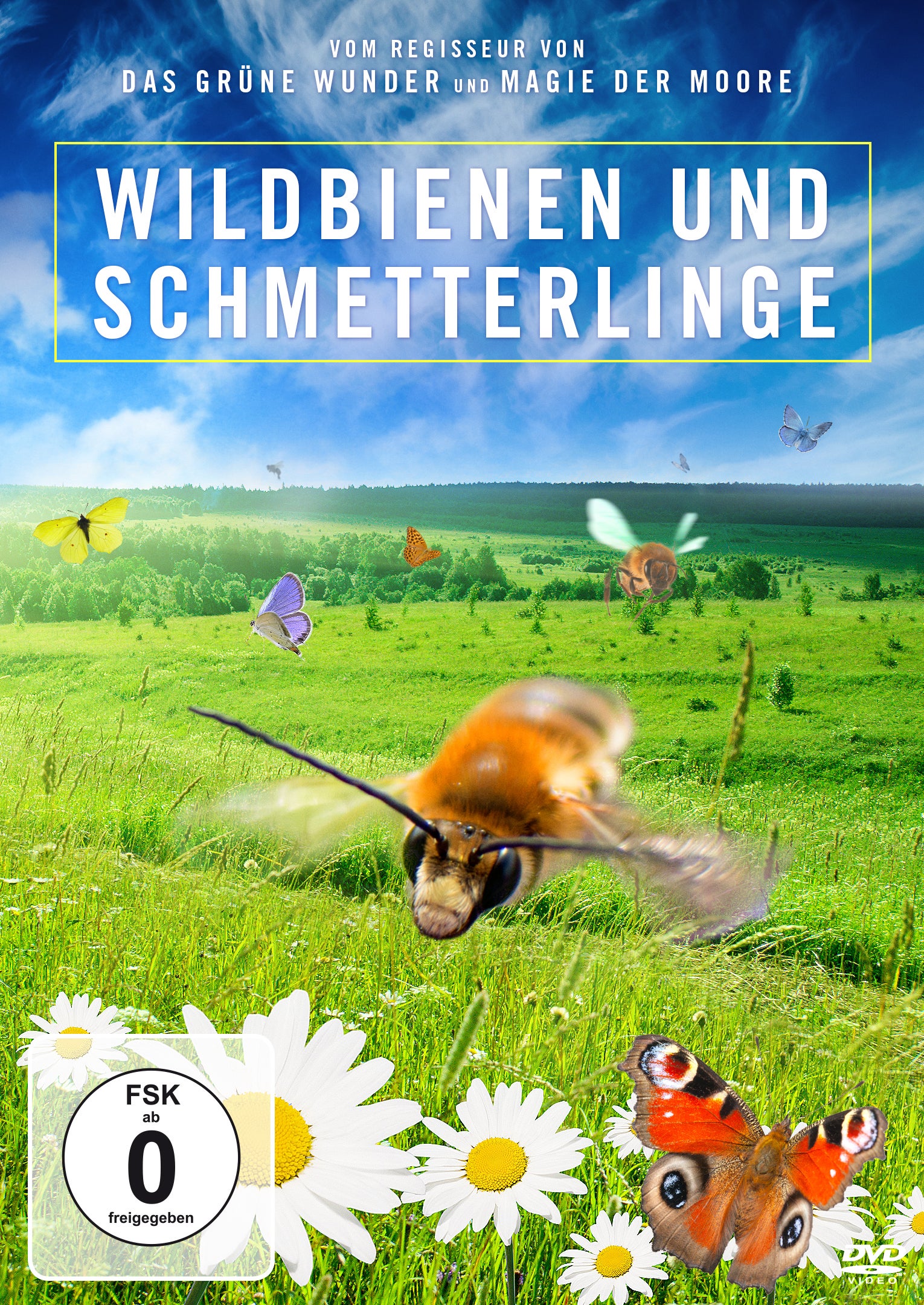 Wildbienen und Schmetterlinge [DVD]