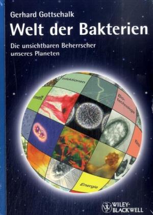 Welt der Bakterien