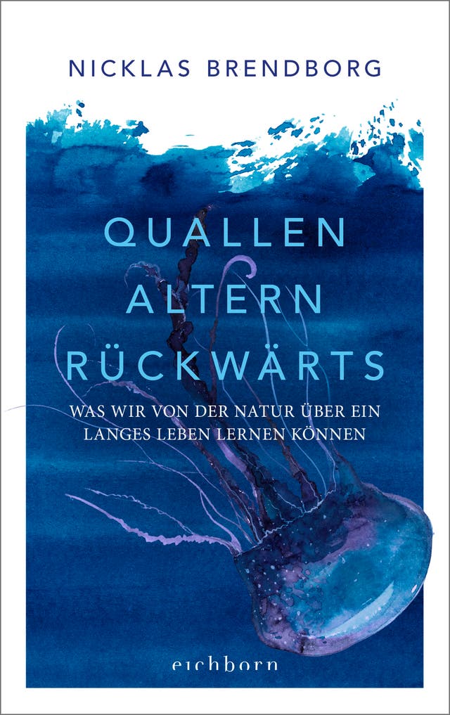 Nicklas Brendborg: Quallen...
