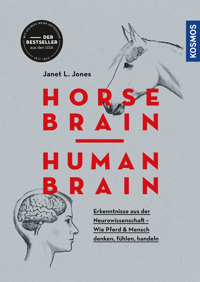 Janet L. Jones: Horse Brain,...