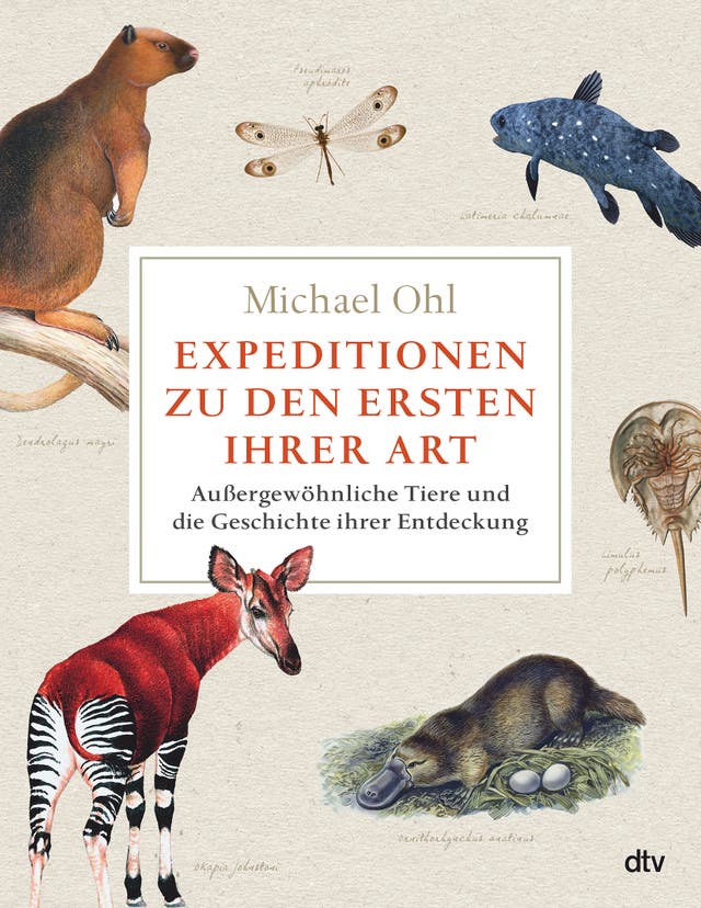 Michael Ohl: Expeditionen zu den...