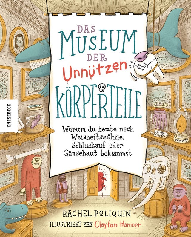 Rachel Poliquin, Das Museum der...
