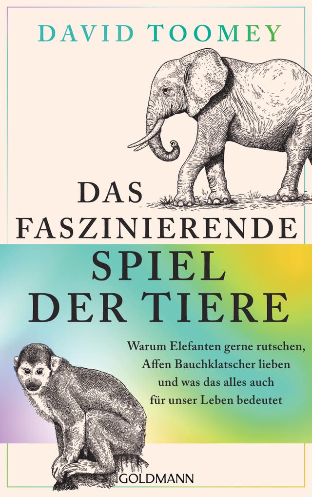 David Toomey, Das faszinierende...