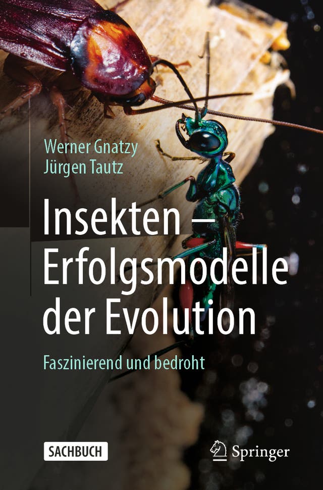 Insekten - Erfolgsmodelle der...