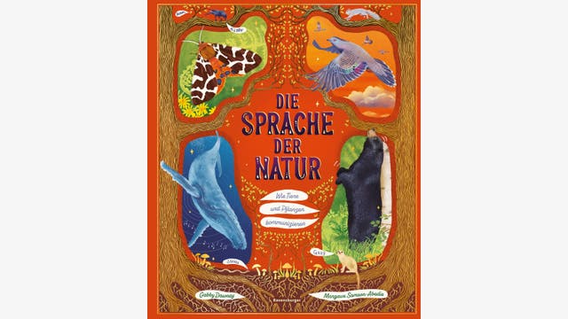 Gabby Dawnay: Die Sprache der Natur