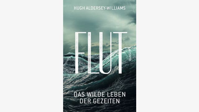 Hugh Aldersey-Williams: Flut