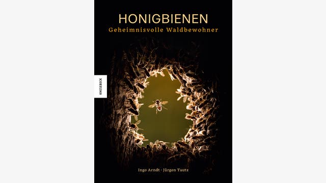 Ingo Arndt, Jürgen Tautz: Honigbienen