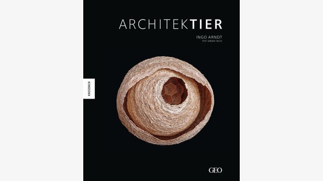 Ingo Arndt: Architektier