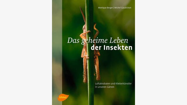 Monique Berger, Michel Gaudichon: Das geheime Leben der Insekten