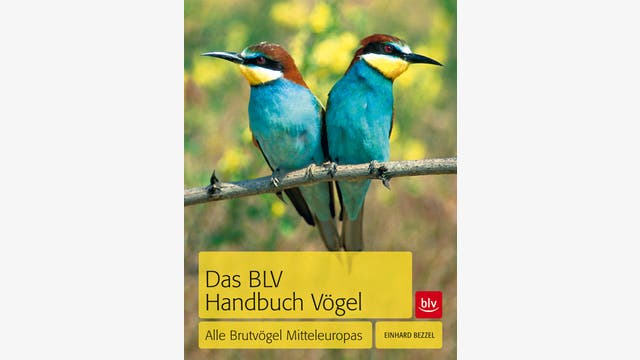 Einhard Bezzel: Das BLV Handbuch Vögel
