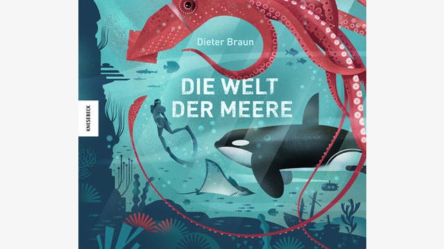 Dieter Braun: Die Welt der Meere