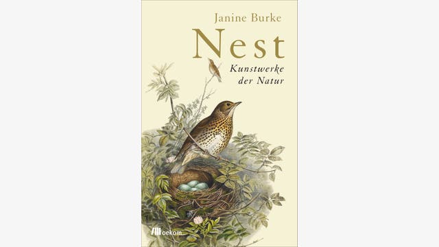 Janine Burke: Nest