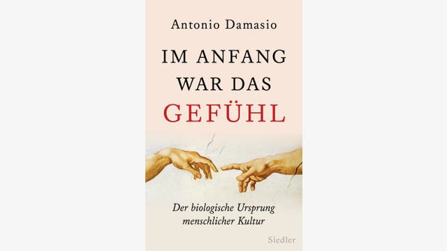 Antonio Damasio: Im Anfang war das Gefühl