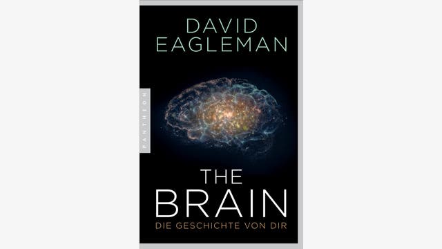 David Eagleman: The Brain
