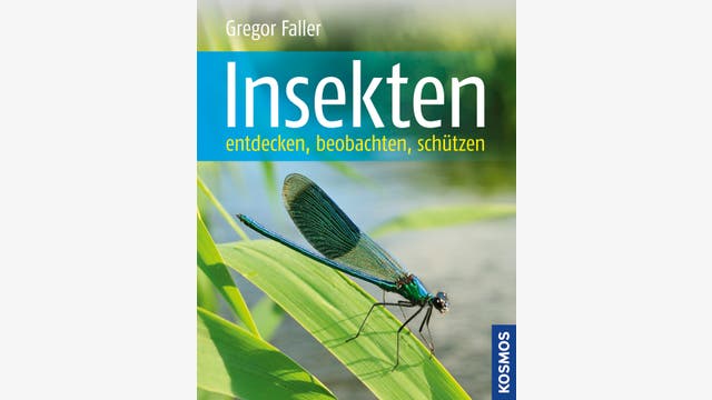 Gregor Faller: Insekten