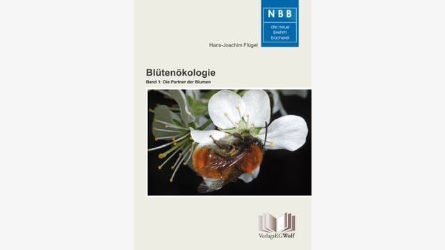Hans-Joachim Flügel: Blütenökologie