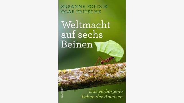 Susanne Foitzik, Olaf Fritsche: Weltmacht auf sechs Beinen