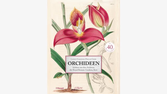 Lauren Gardiner, Philip Cribb: Orchideen