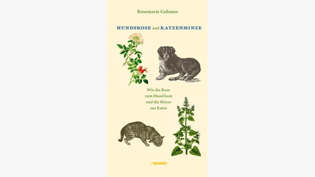 Rosemarie Gebauer: Hundsrose und Katzenminze