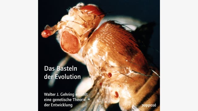 Walter Jakob Gehring: Das Basteln der Evolution