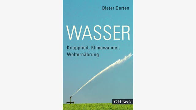 Dieter Gerten: Wasser