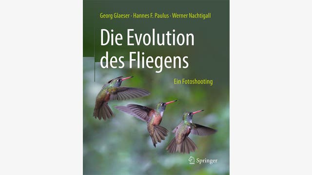 Georg Glaeser, Hannes F. Paulus, Werner Nachtigall: Die Evolution des Fliegens
