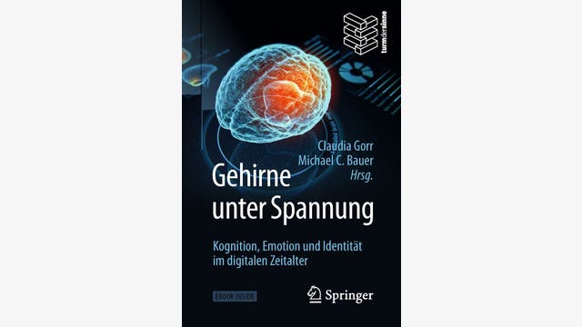 Claudia Corr, Michael C. Bauer (Hg.): Gehirne unter Spannung