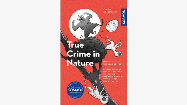 Farina Graßmann: True Crime in Nature