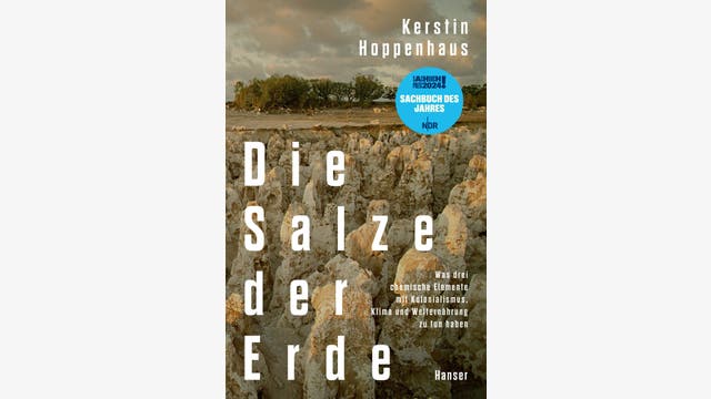 Kerstin Hoppenhaus: Die Salze der Erde