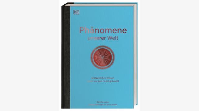 Camille Juzeau: Phänomene unserer Welt