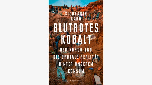 Siddharth Kara: Blutrotes Kobalt