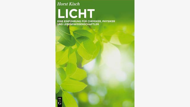 Horst Kisch: Licht
