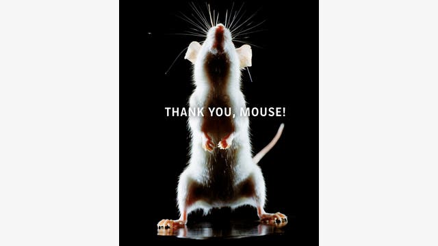 Heidi Koch, Hans-Jürgen Koch: Thank you, mouse!