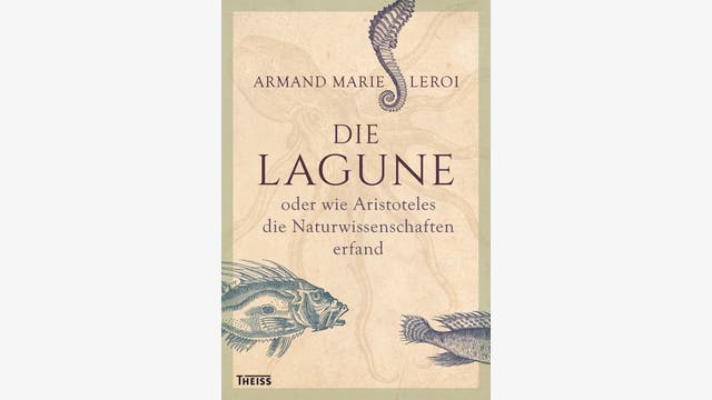 Armand Marie Leroi: Die Lagune
