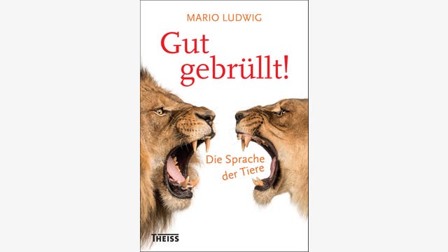Mario Ludwig: Gut gebrüllt!