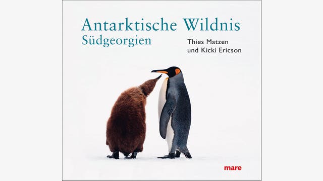 Thies Matzen und Kicki Ericson: Antarktische Wildnis