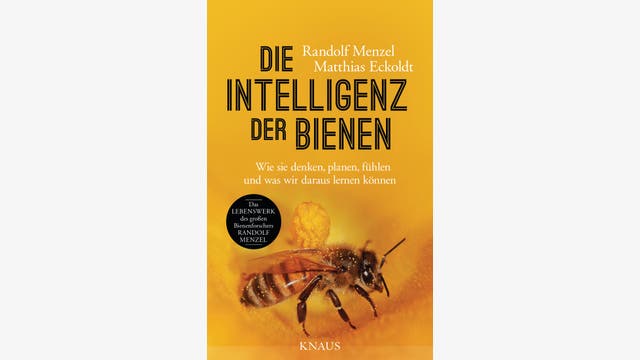 Randolf Menzel, Matthias Eckoldt: Die Intelligenz der Bienen
