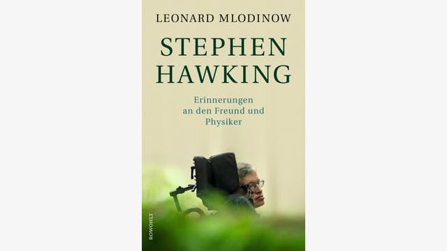 Leonard Mlodinow : Stephen Hawking