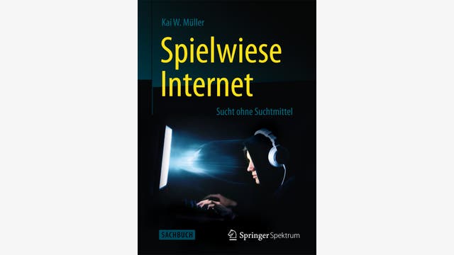 Kai Müller: Spielwiese Internet