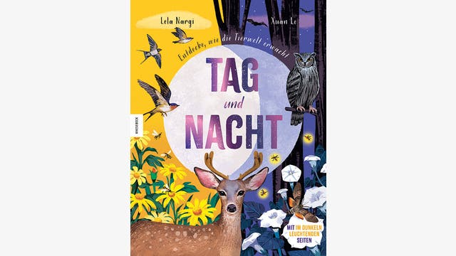 Lela Nargi: Tag und Nacht