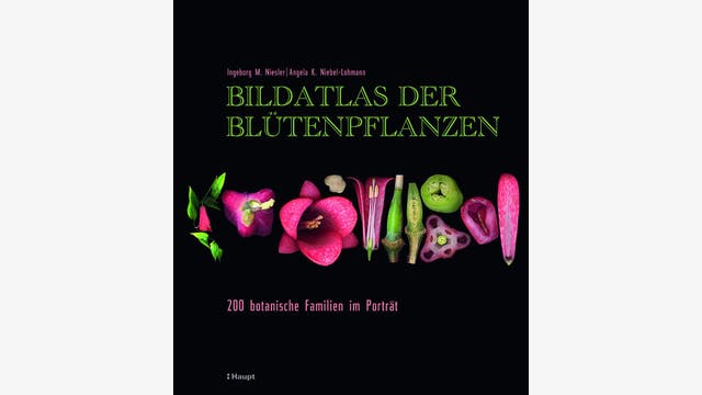 Ingeborg M. Niesler, Angela K. Niebel-Lohmann: Bildatlas der Blütenpflanzen