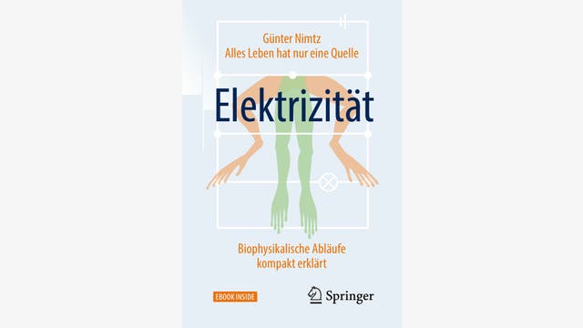 Günter Nimtz: Alles Leben hat nur eine Quelle: Elektrizität